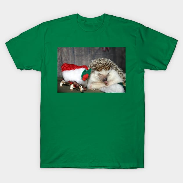 Christmas Hedgehog T-Shirt by ladyshiro42